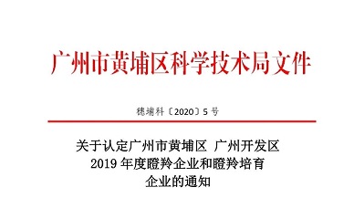 奔跑、跳跃我不停歇，凯发k8天生赢家一触即发入选瞪羚培育企业！